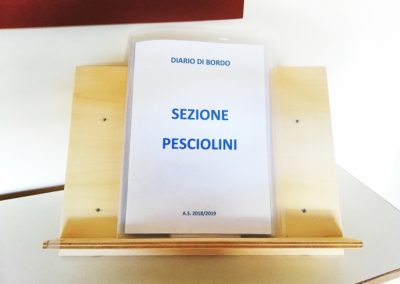 IL DIARIO DI BORDO DELLA SEZIONE PESCIOLINI