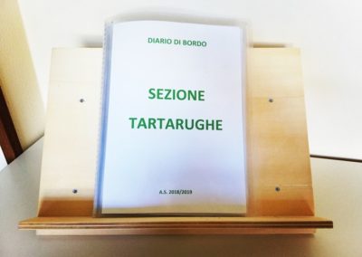 IL DIARIO DI BORDO DELLA SEZIONE TARTARUGHE