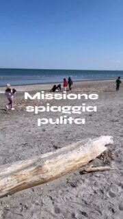 Le nuove Linee guida regionali per la promozione dell’educazione all’aperto, rivolte alla fascia 0–6 anni e approvate con la delibera n. 244/2026, rappresentano un importante passo avanti nella valorizzazione degli spazi esterni educativi.

Proprio in linea con questi principi nasce il nostro progetto “Missione Spiaggia Pulita”: un’attività pensata per sensibilizzare i bambini alla cura dell’ambiente. Muniti di guanti e sacchetti, i bambini di 5 anni hanno partecipato attivamente alla raccolta dei rifiuti sulla spiaggia della scuola, vivendo un’esperienza concreta di cittadinanza attiva. L’obiettivo è promuovere fin da piccoli il rispetto per l’ambiente e per gli animali, insieme al piacere di stare all’aria aperta.

#cesenatico #scuolaschuster