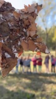 Stelle d’autunno ⭐️ 🍂

#cesenatico #scuolaschuster