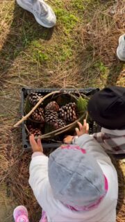 Piccoli esploratori in pineta 🌲 
Con i nostri bimbi di 2 anni siamo andati a raccogliere pigne, aghi di pino e rametti… e poi via con la creatività! 
Con questi materiali naturali abbiamo dipinto, giocato e scoperto nuovi modi per sperimentare 💚

#cesenatico #scuolaschuster #giocareconlanatura