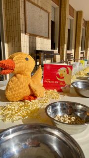 É nato Papero Pa!💛
Il personaggio mediatore che accompagnerà i bimbi della sezione paperotti durante le varie giornate educative.

Come prime esperienze abbiamo sperimentato il colore giallo attraverso travasi e tempera. 🐥

#cesenatico #scuolaschuster