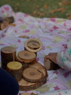 Osserviamo, tocchiamo e sperimentiamo i materiali naturali 🪵 

#scuolaschuster #sezioneprimavera
