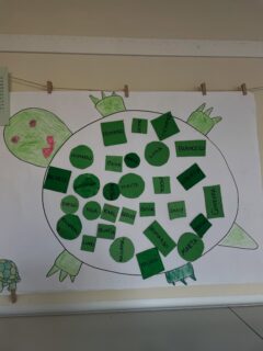 Noi siamo tartarughe🐢
